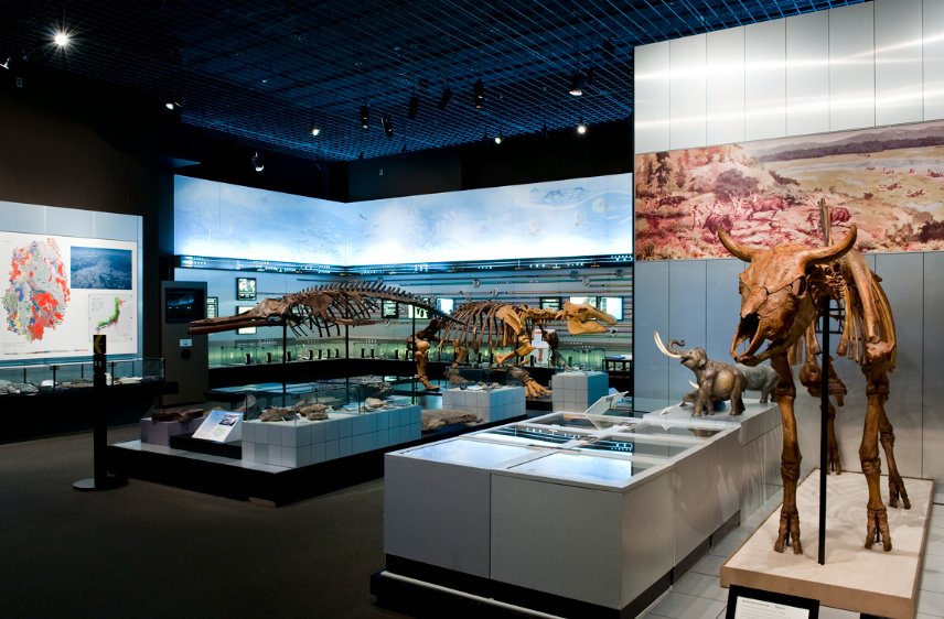 🏛️ 이와테 현립 박물관 (이와테 켄리츠 하쿠부츠칸) 이미지 1